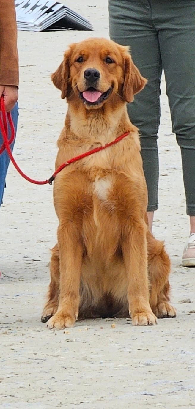 Un Rayondesoleil De L'Appel Du Large