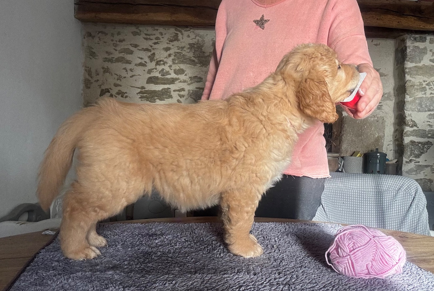 A Little flower De L'Appel Du Large